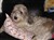 090918 rockie 001.jpg